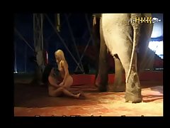 Dog Fuck Girl Hidden