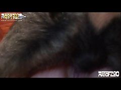 Giant Dog Dick Fuck