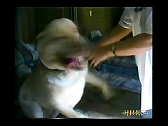 Animal To Animals Sex