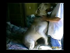 Animal To Animals Sex