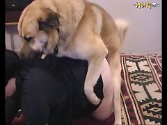 Yasmin Animal Sex