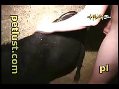 Sex Animal Synonyms Slang