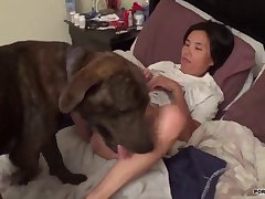 Horse Porn Telegram