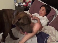 Horse Porn Telegram
