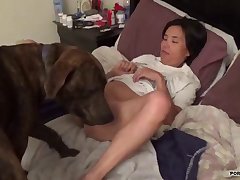 Horse Porn Telegram