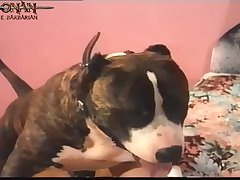 White Girl Dog Porn