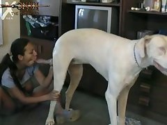 Zoo Xnxx