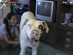 Zoo Xnxx