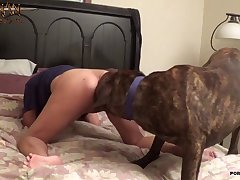 How To Have Sex With A Stuffed Animal