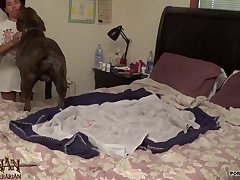 Horse Dildo Gay Porn