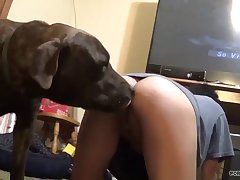 Horse Cock Dildo Porn