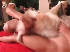Animal And Human Have Sex