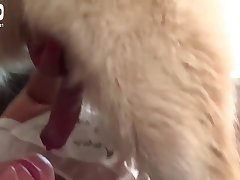 Dog Cock Gay Porn