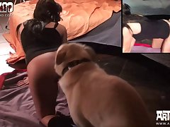 Horse Porn Manga