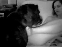 Fuck Joe Biden Dog Tags