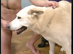 Trans Fucks Dog Porn