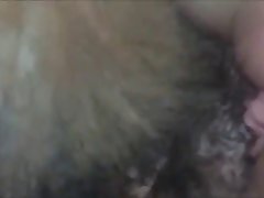 Webcam Dog Porn