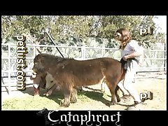 Female Horse Fuck Porn