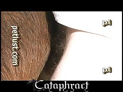 Female Horse Fuck Porn