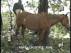 Dog Fuck Gif Porn