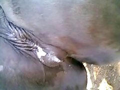 Cartoon Dog Rape Porn