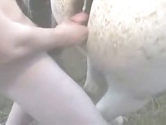 Barbie Dog Porn
