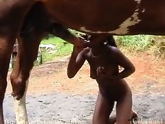 Youtubers That Make Porn