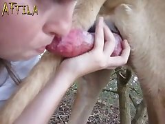 Porn With Female Animal