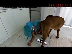 dog porn
