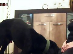 Teen Animal Porn Xxx