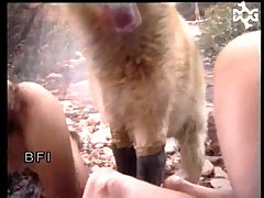Erotic Animal Porn