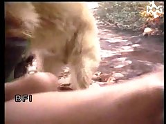 Erotic Animal Porn