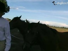 Animal Porn Squirrel