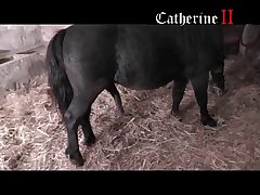 Girl With Animal Porn Hub