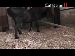 Girl With Animal Porn Hub