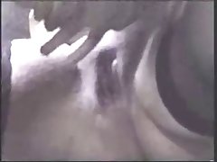 Pokemon Porn Animal