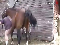 Animal Porn Hentai Manga
