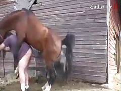 Animal Porn Hentai Manga