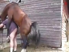 Animal Porn Hentai Manga