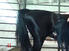 Porn With Animal Dog