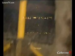 British Animal Porn