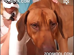 Animal Porn Hd Sex