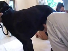 Top 10 Animal Porn Site