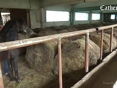 Elsa Animal Porn
