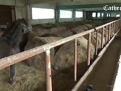 Elsa Animal Porn