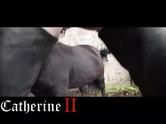 Animal Hot Girl Porn