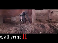 Animal Hot Girl Porn