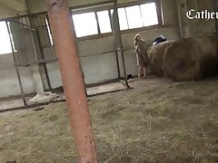 Human Animal Movie Porn