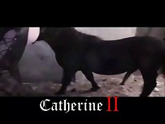 Is Watching Animal Porn Illegal In India