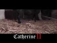 Is Watching Animal Porn Illegal In India